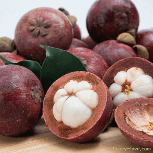 열대 과일의 여왕 망고스틴 특징