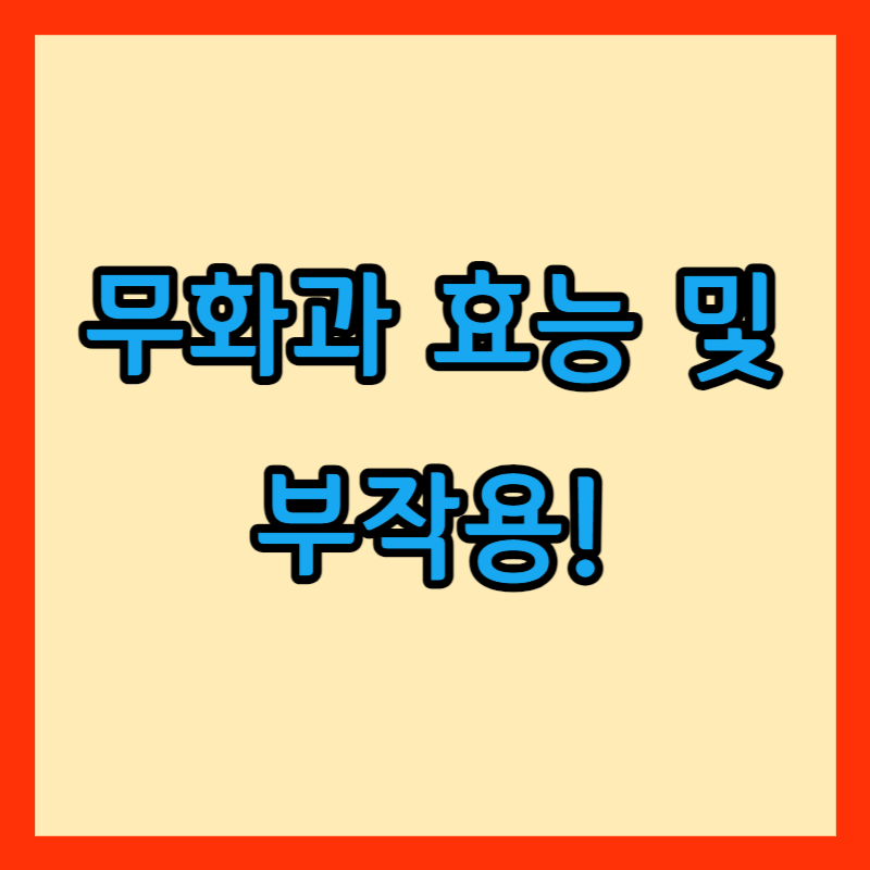 무화과 효능및 부작용 썸네일