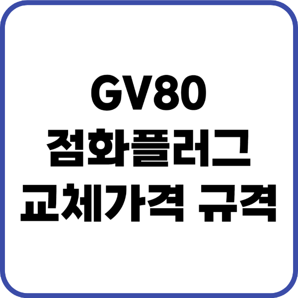 GV80 점화플러그