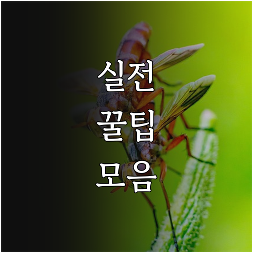 쌀 가공산업 2025 지원사업 대출 ..