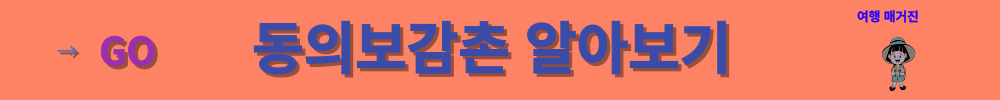 한방동의보감촌알아보기