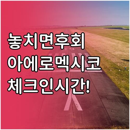 인천공항 아에로멕시코 제2터미널 체크..