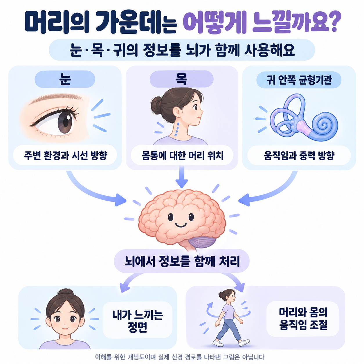 머리를 가운데 두었는데 왜 한쪽으로 치우친 것처럼 느껴질까?