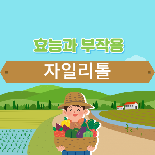 자일리톨 효능과 부작용