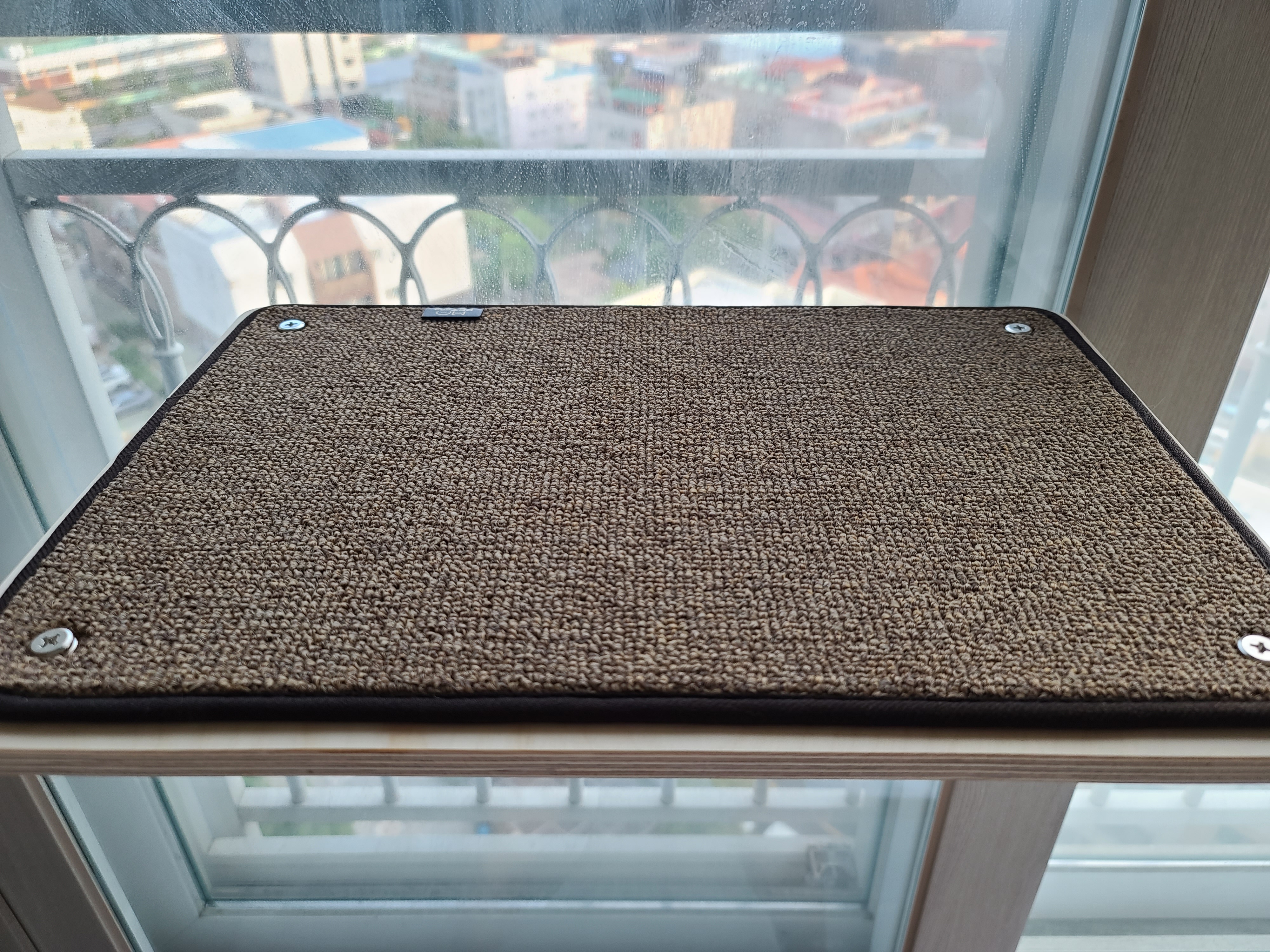 냥냥이들의 캣워크, 캣볼을 달았다. (내돈내산,스압주의)