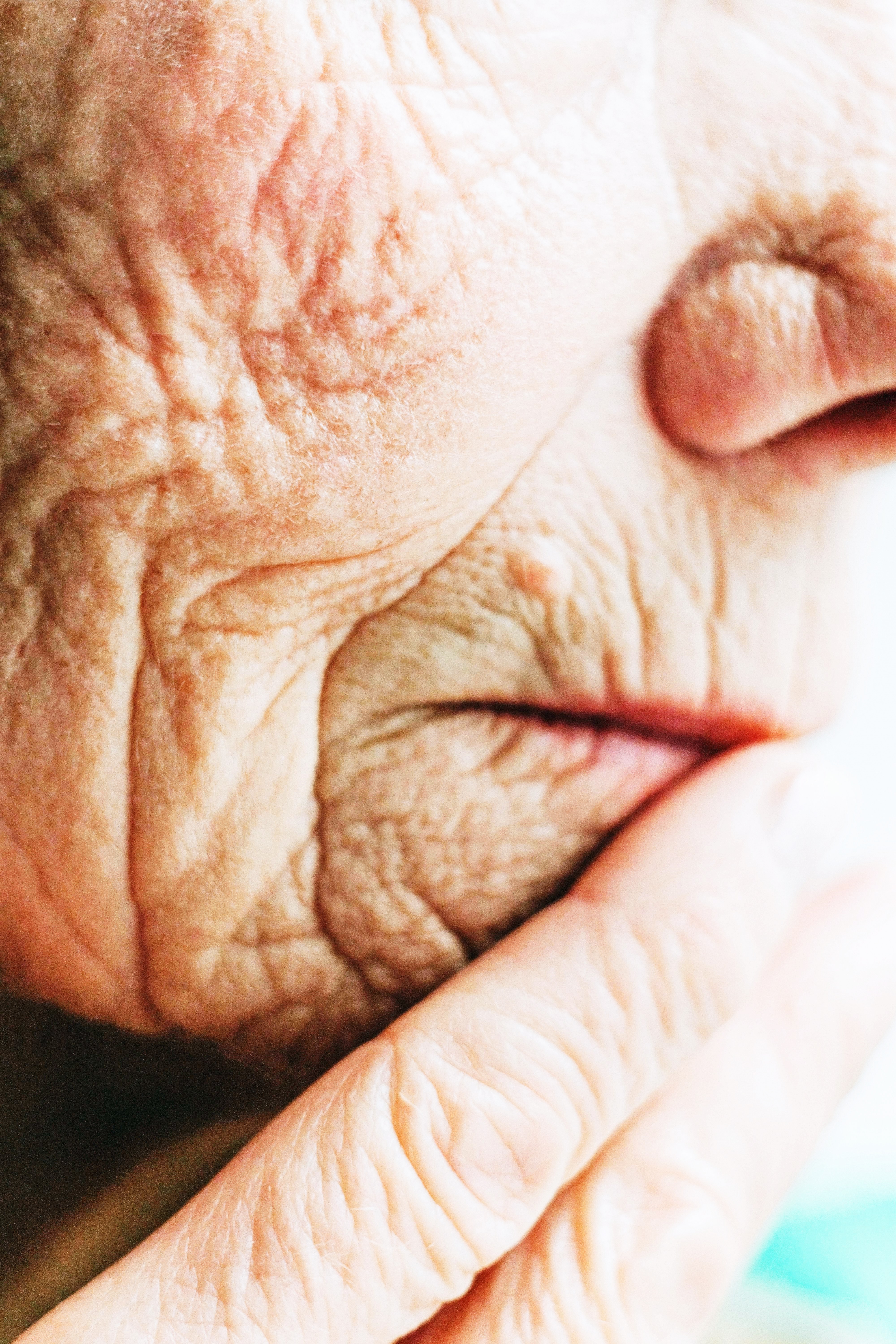 2024년 노인지원 정책 한눈에 살펴보기