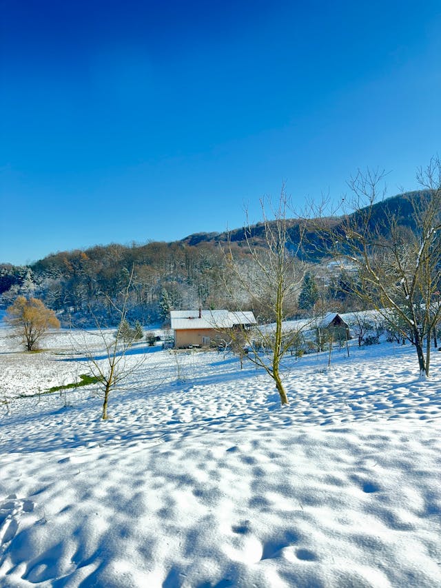 2026년 1월 전국 날씨 예보