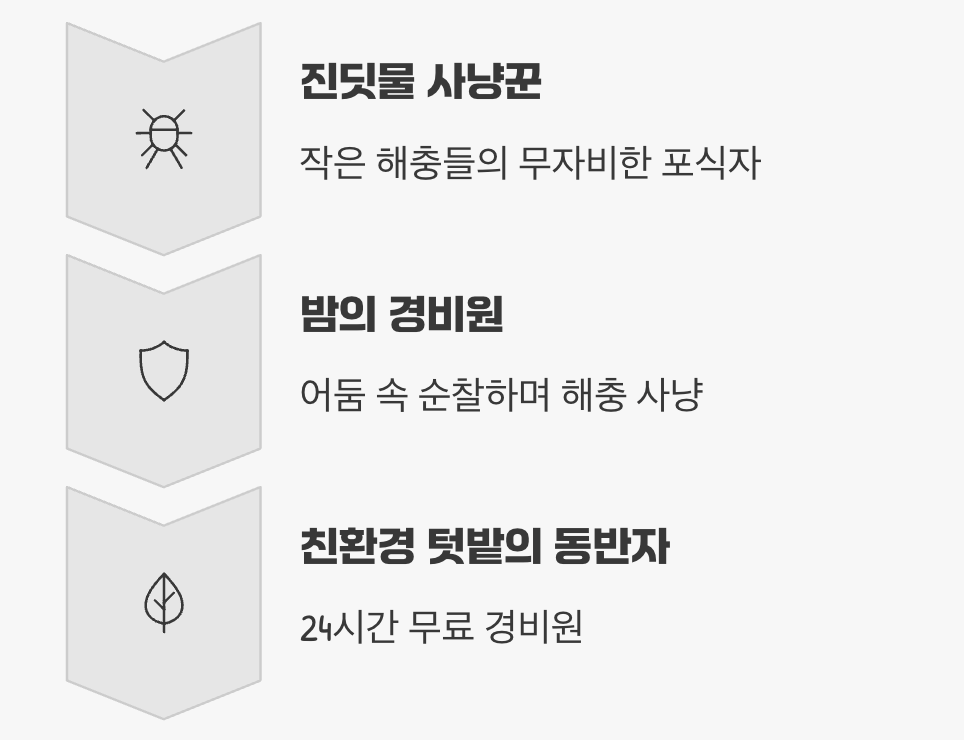 화단의 숨은 해결사, 진딧물 사냥꾼