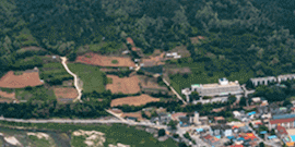 Tile 10