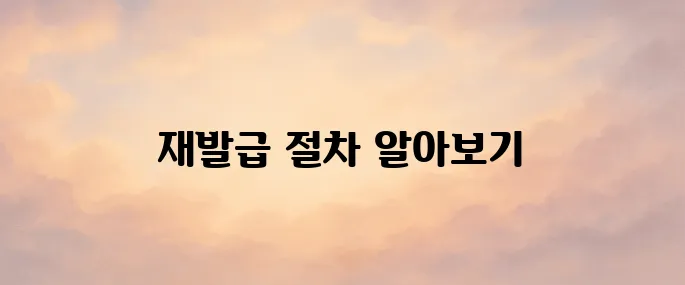 주민등록증 재발급 가이드