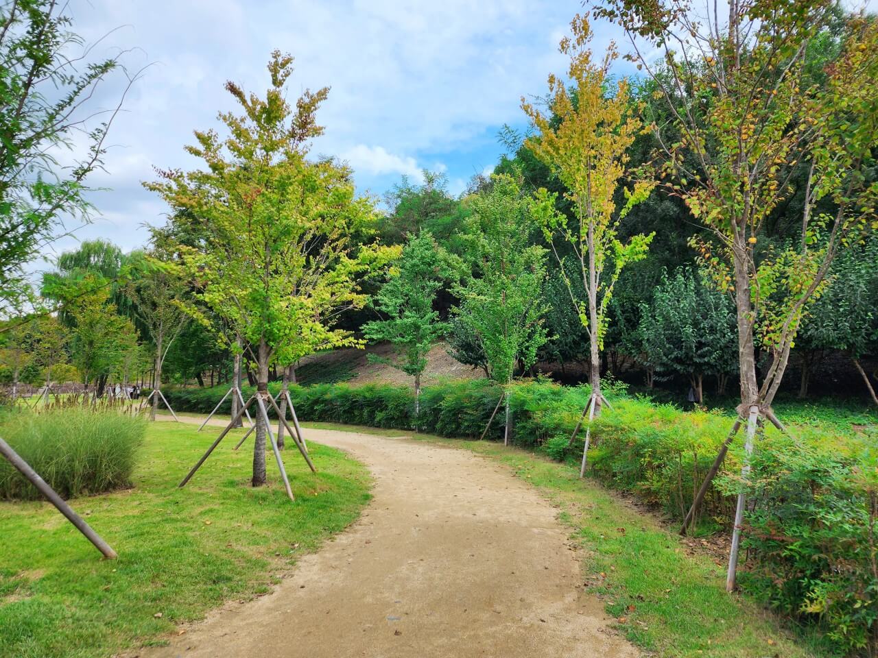 대구 가볼만한 단풍 여행은 어디일까? 대구 단풍 여행 총정리!