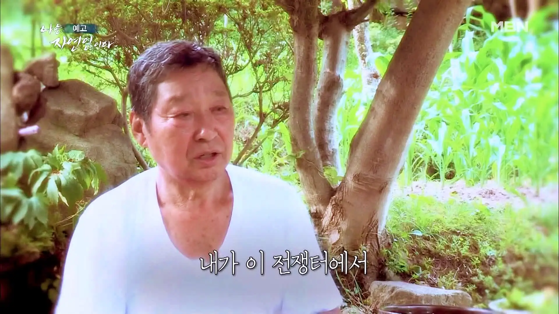 이승윤 윤택 나는 자연인이다 512회 노병은 살아있다! 의족으로 산속을 누비는 자연인 이기남 소개 및 출연 다시보기