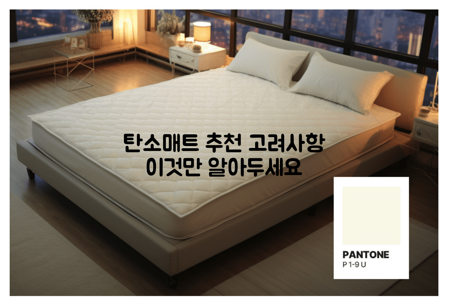 탄소매트
