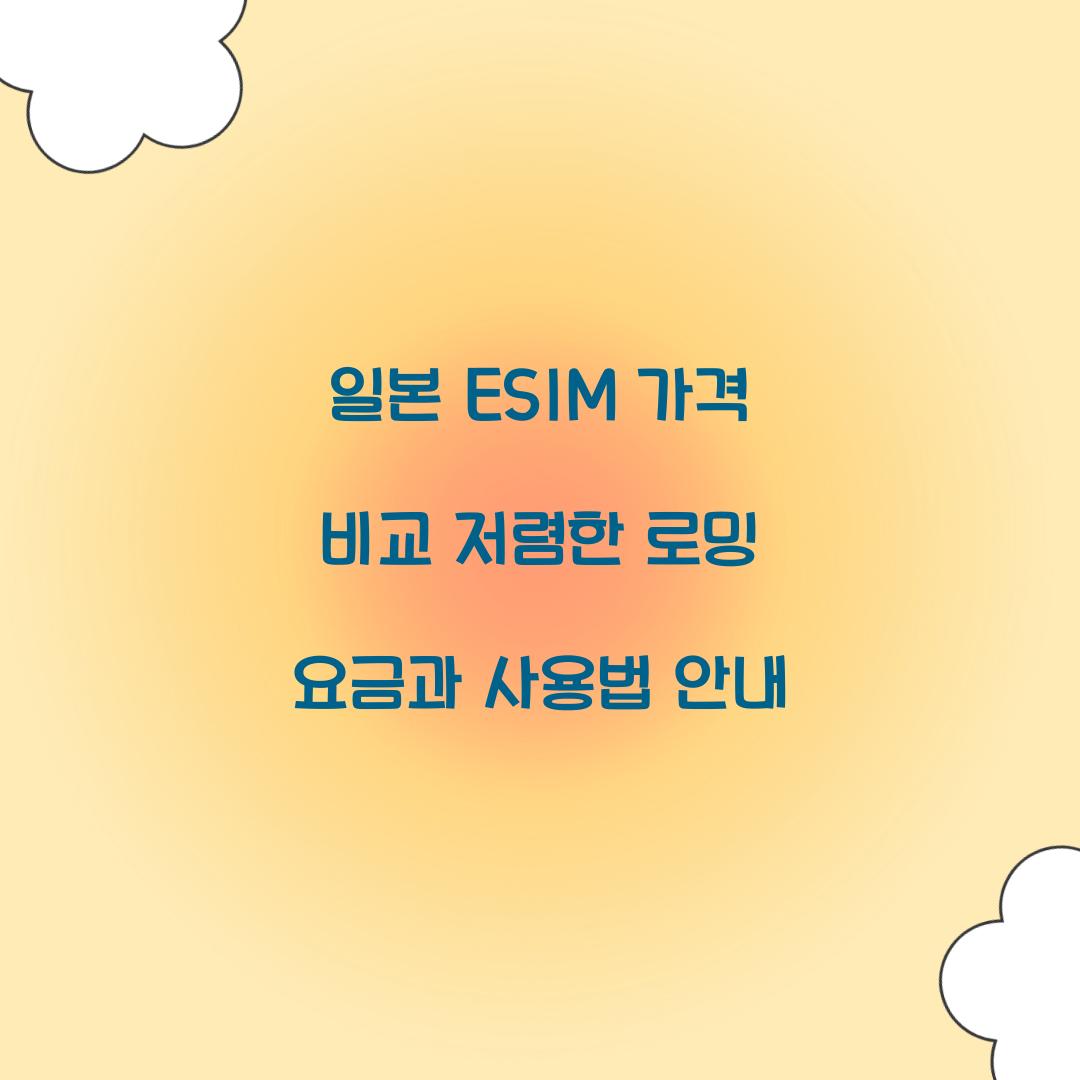 일본 ESIM 가격