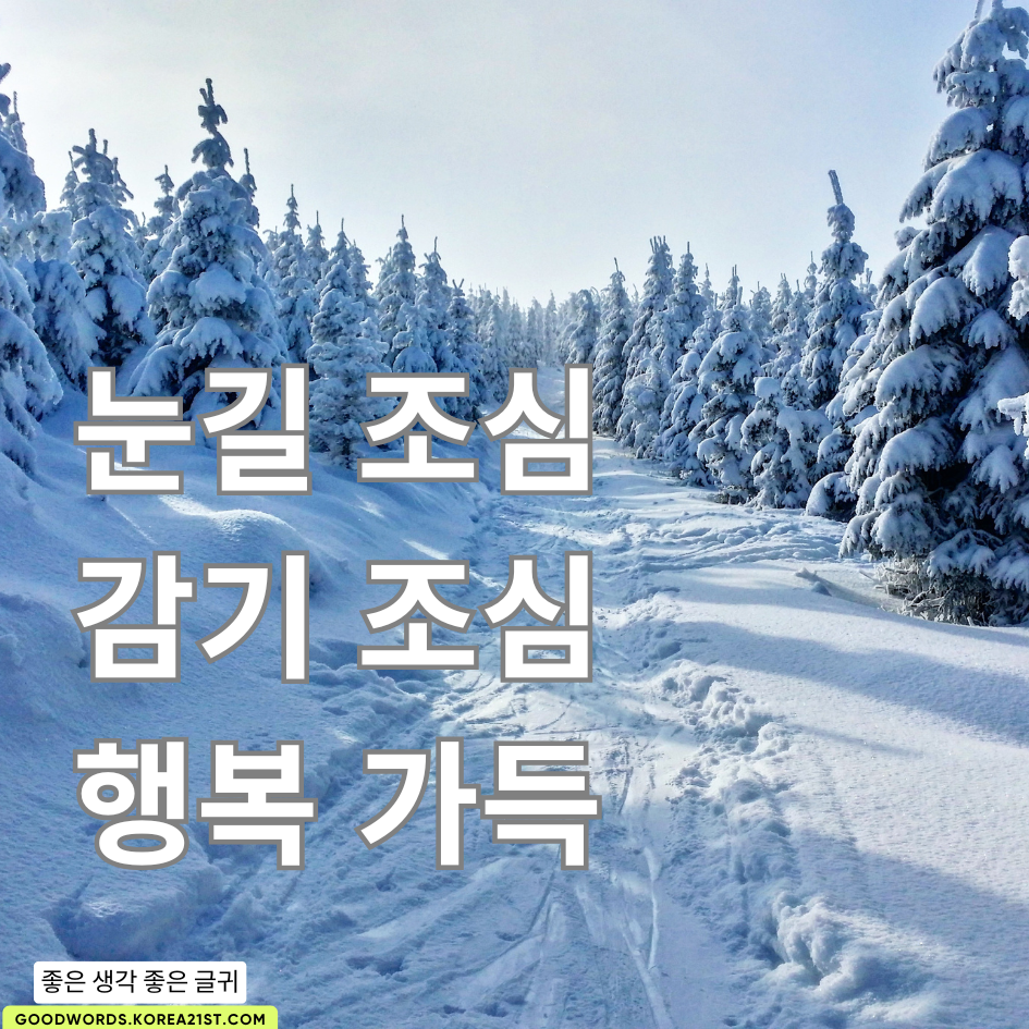 눈 오는 날 인사말 이미지 문구 모음