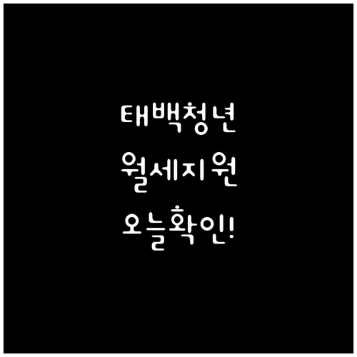 2026년 태백시 청년월세지원 신청기..