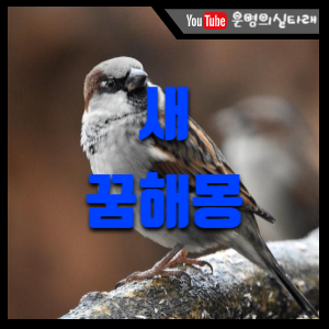 썸네일 사진