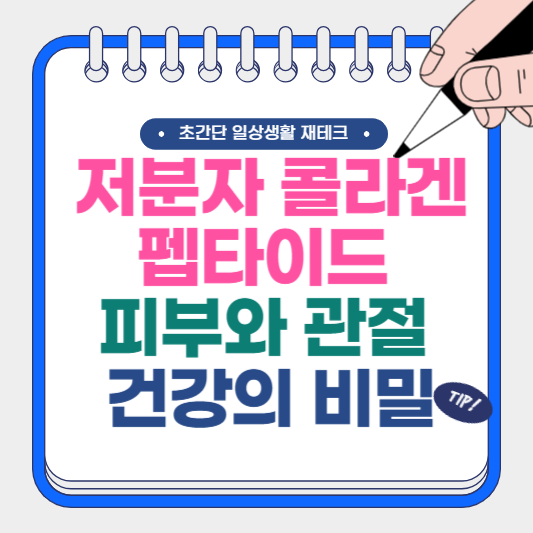 저분자 콜라겐 펩타이드 피부와 관절 건강의 비밀