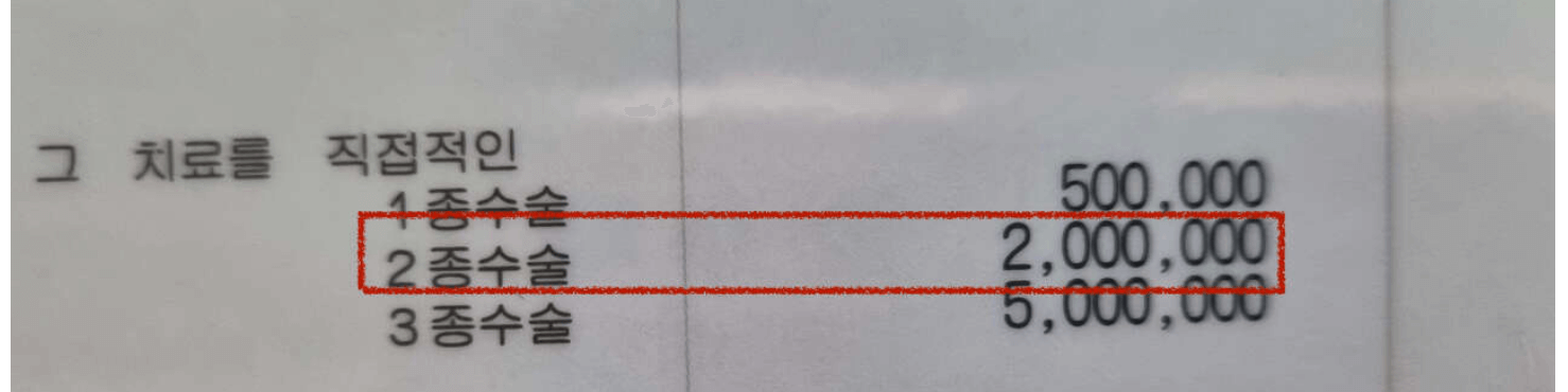 치조골이식 보험