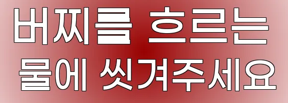 버찌를 흐르는 물에 씻겨주세요