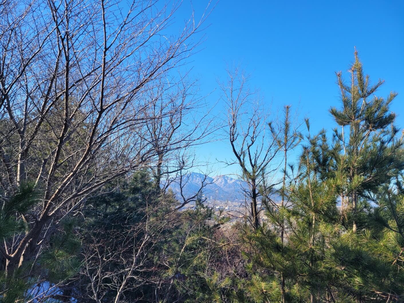 청대산 마운틴 뷰