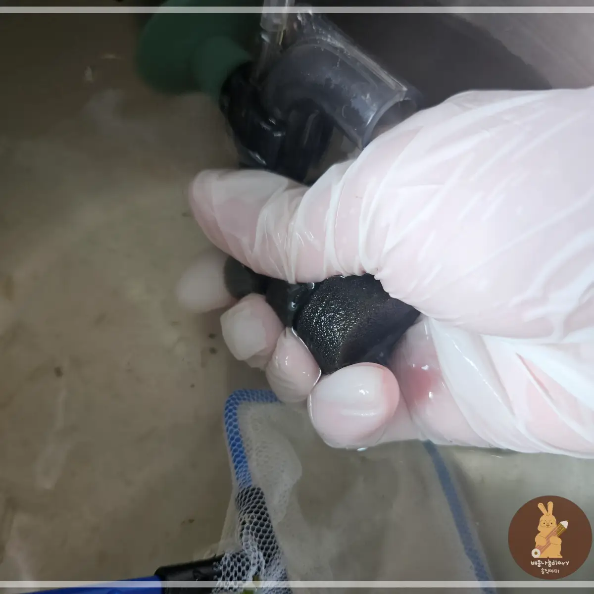 산소-여과기-스펀지-씻어-주기