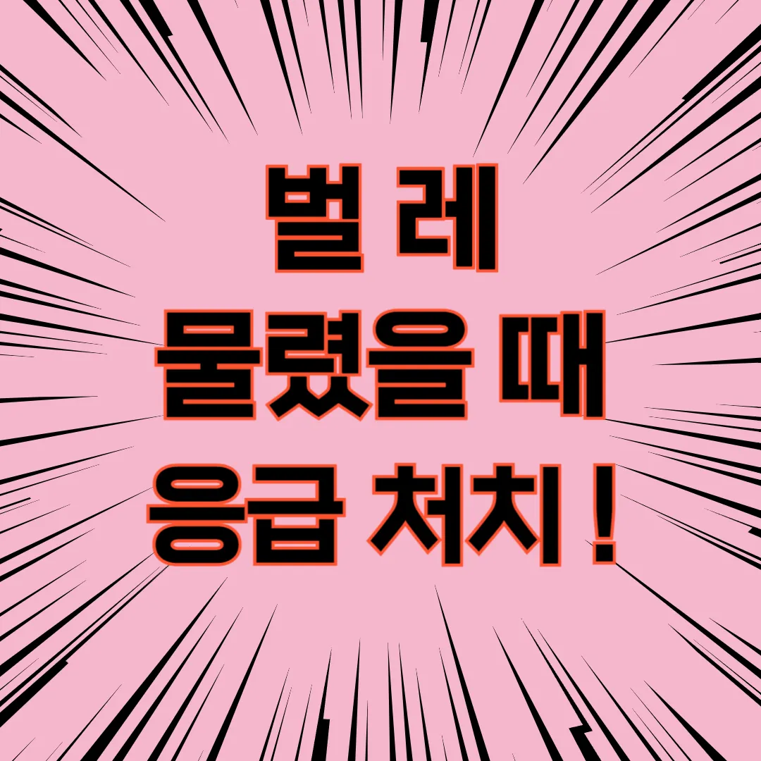 벌레 물렸을때 응급처치