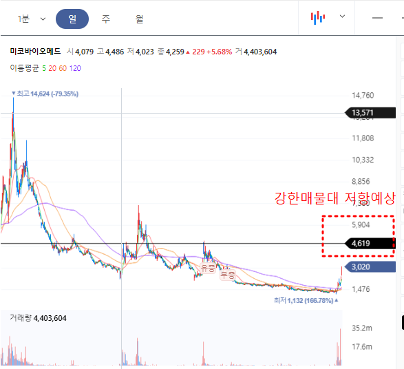 미코바이오메드 일봉차트