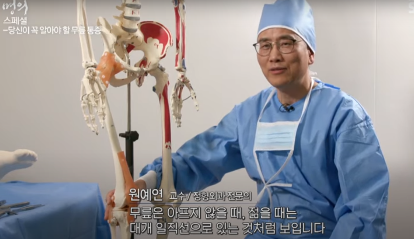 원예연교수