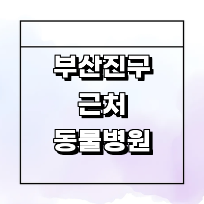 부산 부산진구 동물병원