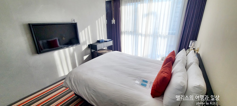 익스피디아 2022년 1월 호텔 할인코드 제주시 앨리스 앤 트렁크 호텔 추천 가성비 호텔