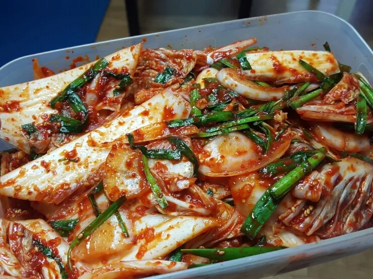 겉절이 맛있게 담그는 법 겉절이 김치 황금 레시피_3