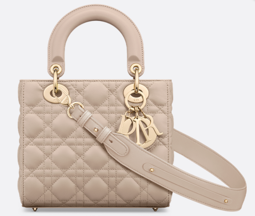 디올 레이디 디올