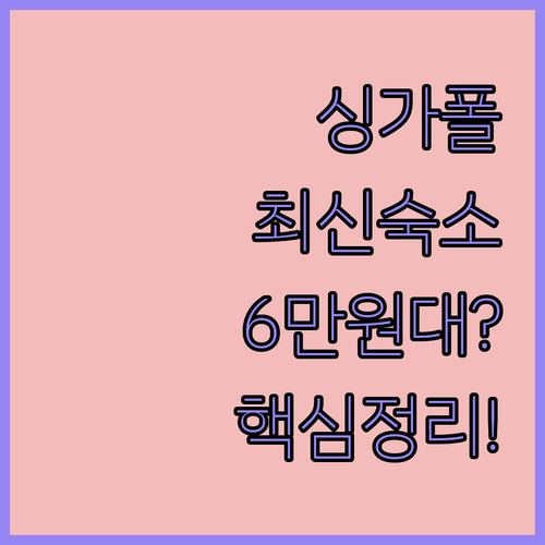 6만원대 초특가부터 최신 시설까지 싱..