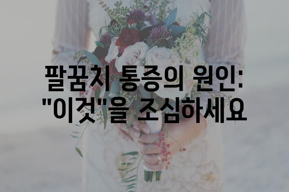 샘플 (66)