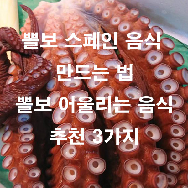 뽈보 스페인 음식 만드는 법 뽈보 어울리는 음식 추천 3가지