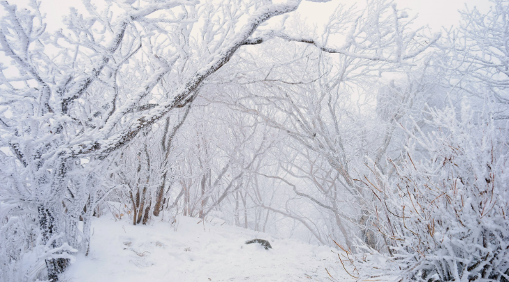 덕유산 설경 사진