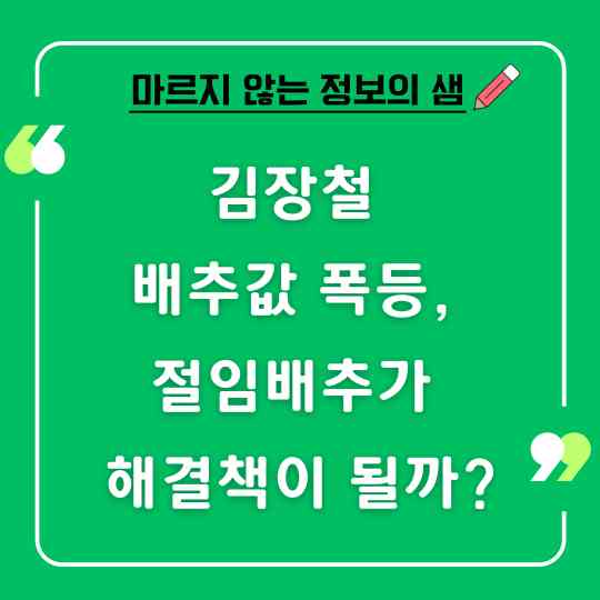 절임배추