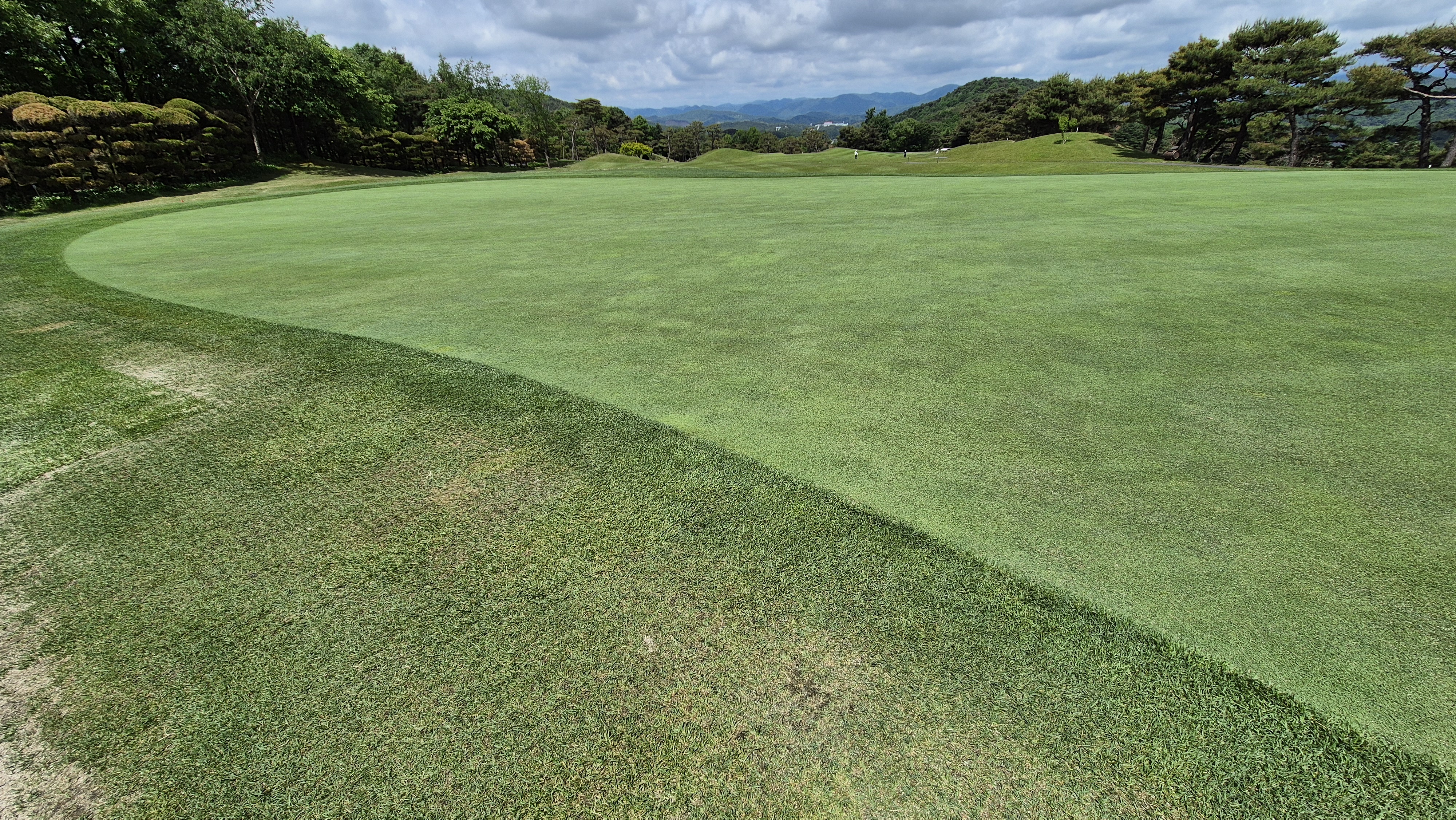 파크밸리gc 라운드 후기