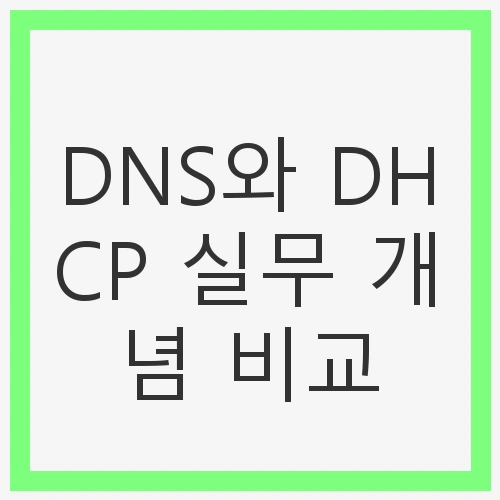 DNS의 기본 개념