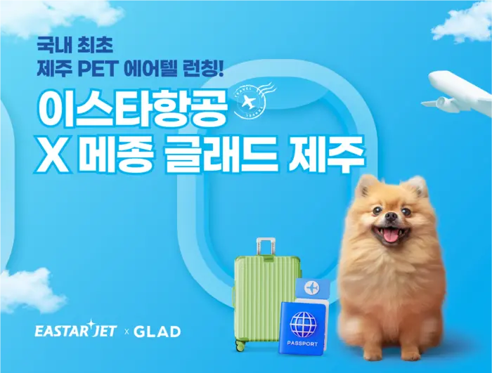 이스타항공 반려견 동반 여행 패키지 '펫 에어텔' 패키지 소개! [김포-제주 호텔 숙박 항공권 별별스토어]