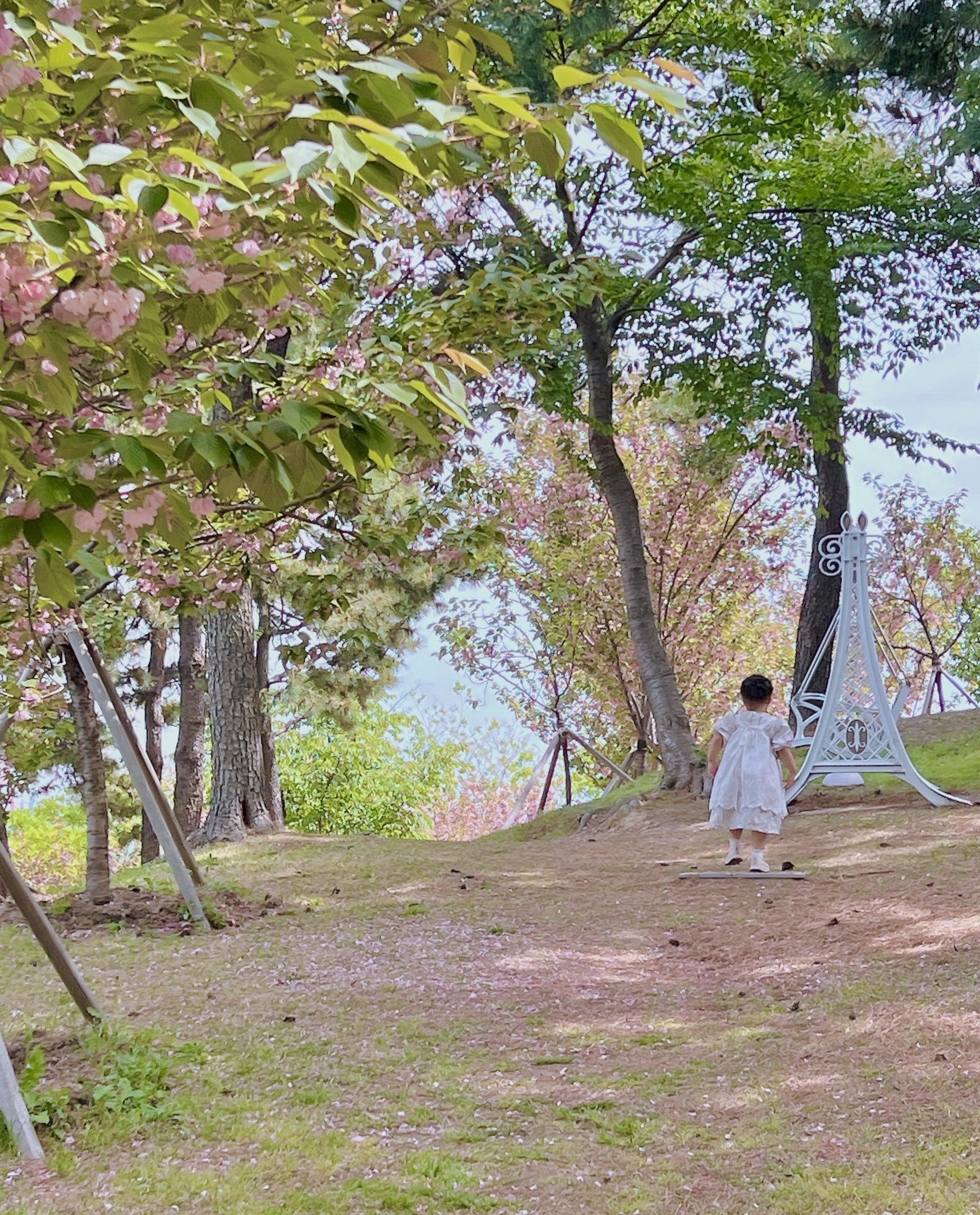 장생포 고래마을 내 겹벚꽃