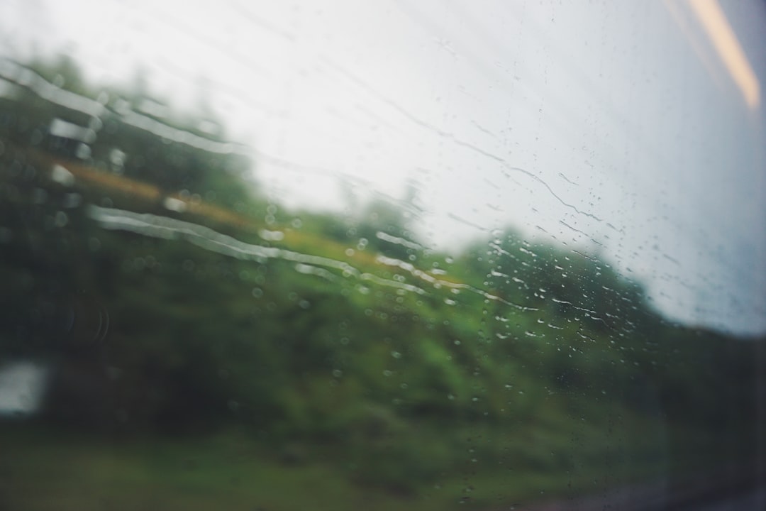 Weatherstrip.