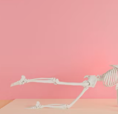 류마티스 관절염 치료법 진단 합병증