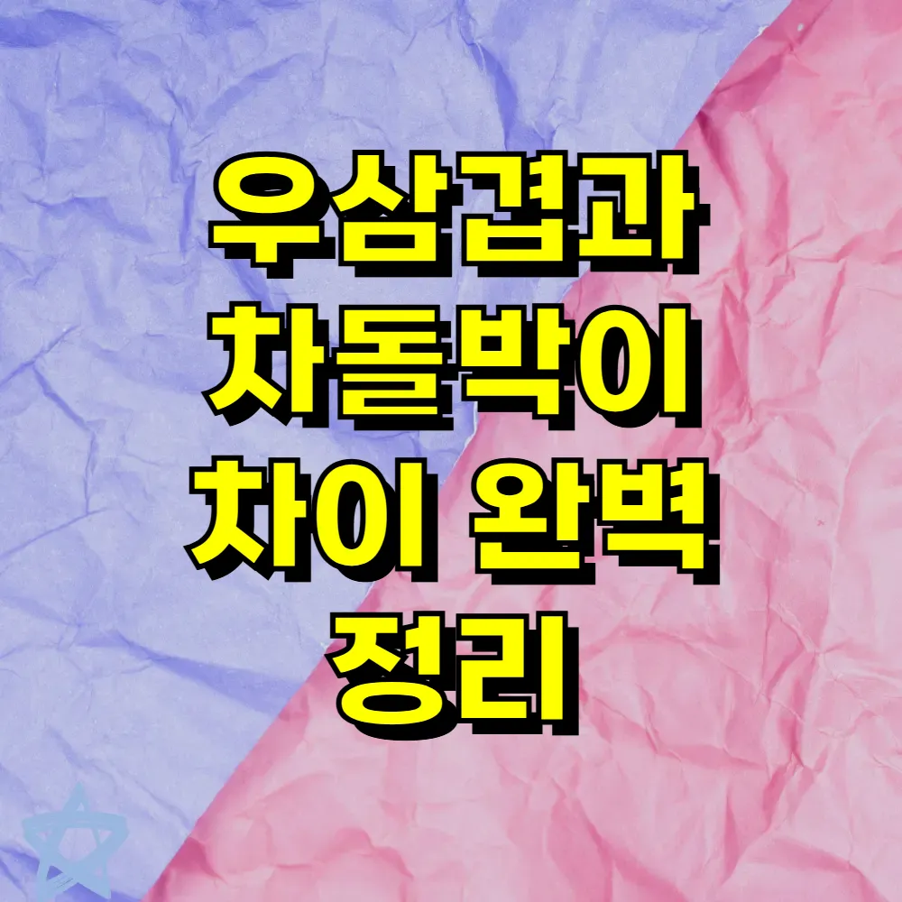 우삼겹과 차돌박이 차이 완벽 정리