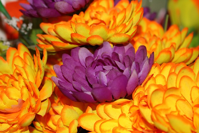 2022년 노인 기초연금 지급대상 수급자 신청 방법 선정기준액 소득인정액5