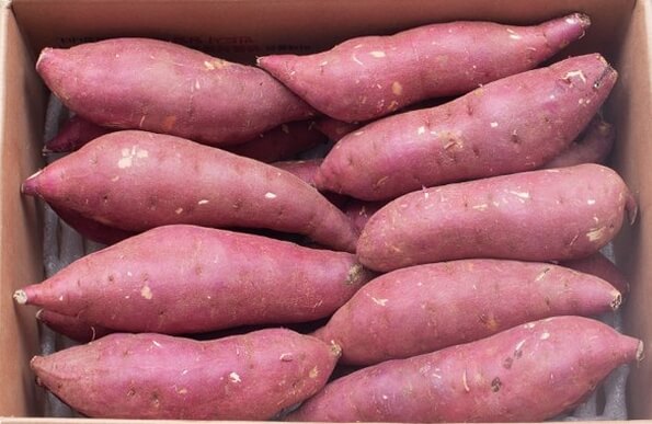 최고의 건강식, 고구마를 다양하게 즐겨보자!