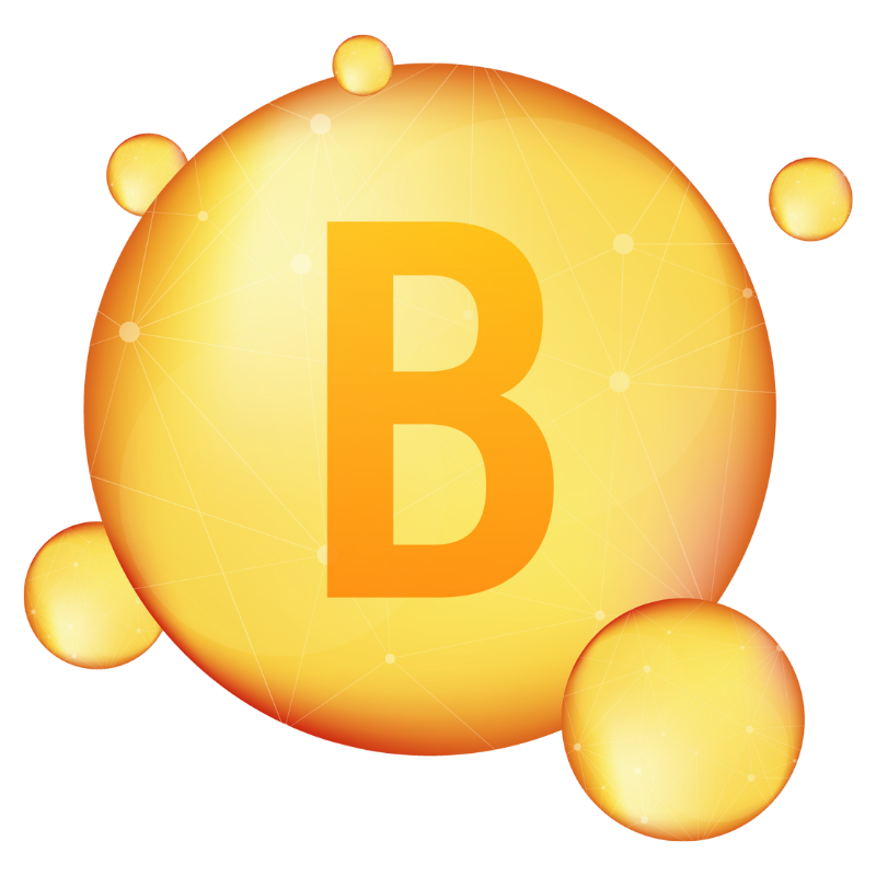 비타민 B 일러스트