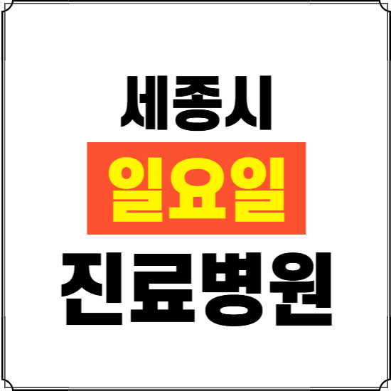 세종시 일요일 진료병원 찾기 ❘ 24시 휴일 주말 응급 야간 심야 문여는 병원
