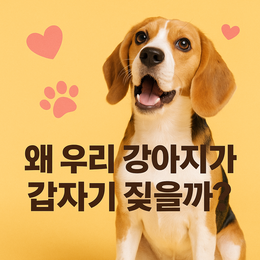 강아지가 갑자기 짖는 이유